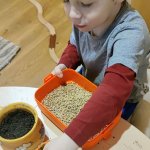 phoca_thumb_m_motylci 6 Fotogalerie